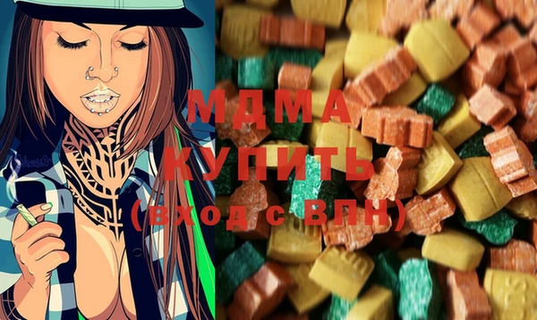 гидра Горняк