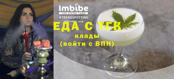 гидра Горняк