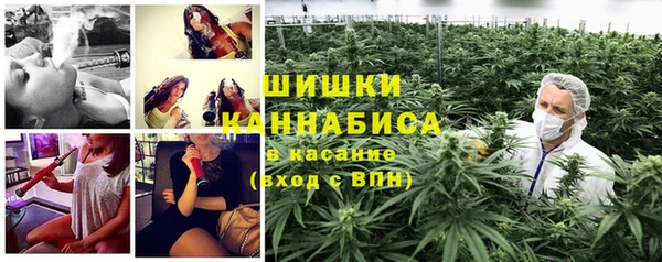ALPHA PVP Горно-Алтайск