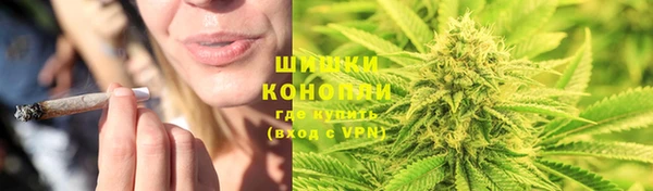 стафф Горнозаводск