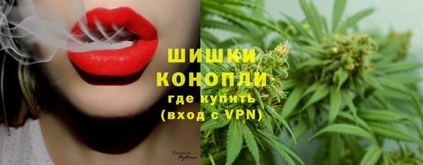стафф Горнозаводск