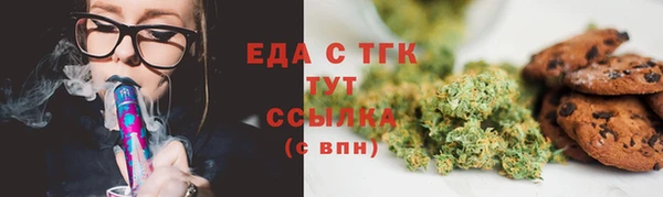 гидра Горняк