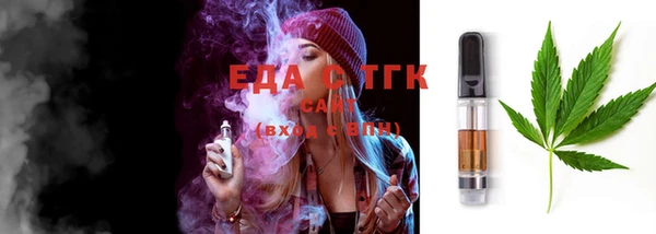 гидра Горняк