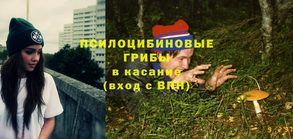 гидра Горняк