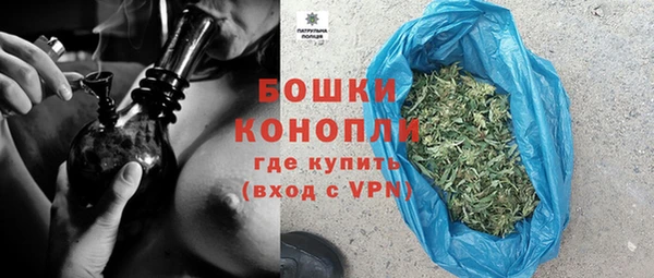 гидра Горняк