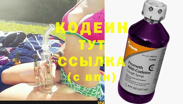гидра Горняк