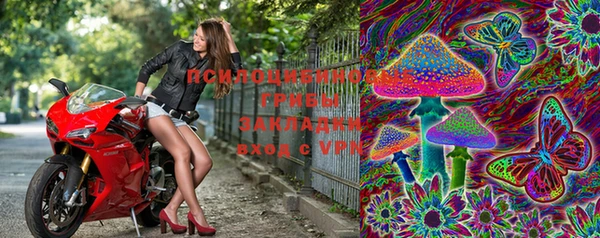 стафф Горнозаводск