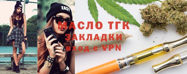 гидра Горняк