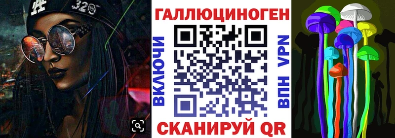 блэк спрут маркетплейс  цены наркотик  Грайворон  Псилоцибиновые грибы прущие грибы 