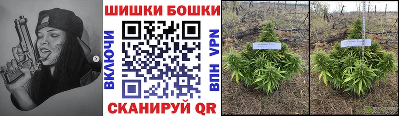 МАРИХУАНА индика  дарнет шоп  Грайворон 